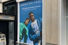 American-Eagle-2